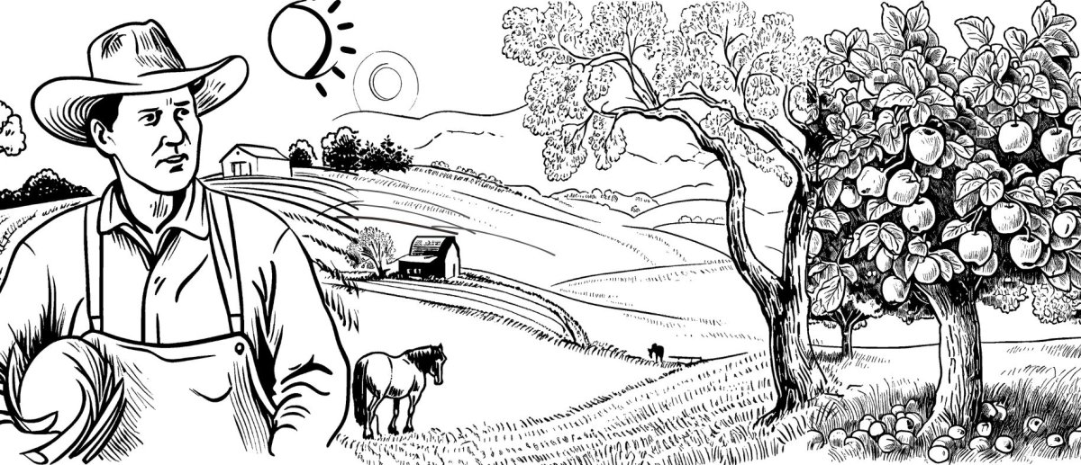 Alimentation naturelle